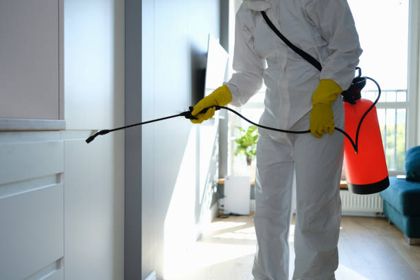 Crawl Space Mold Removal in Auxvasse, MO