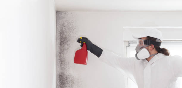 Best Mold Testing  in Auxvasse, MO